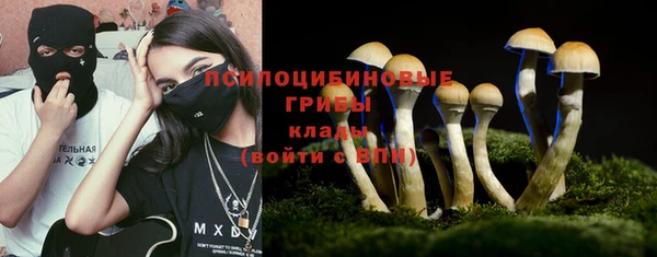 сатива Верхнеуральск