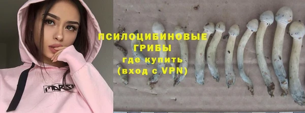 a pvp Верея