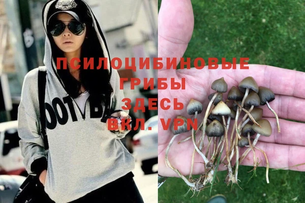 a pvp Верея