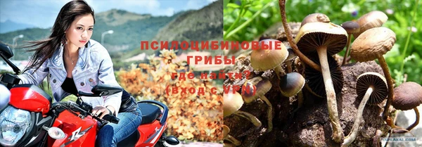 таблы Верхний Тагил