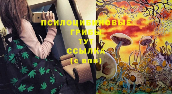 сатива Верхнеуральск