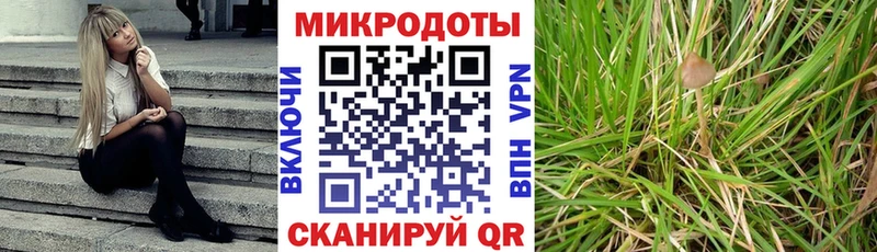 Псилоцибиновые грибы Magic Shrooms  Клин 
